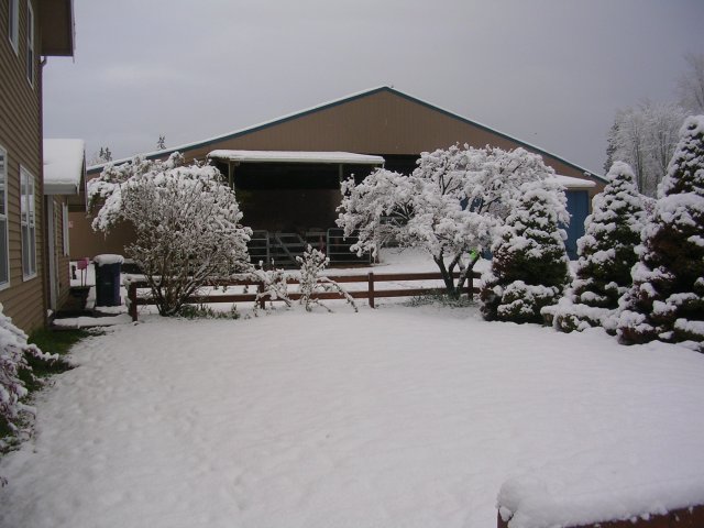 Ranch snow April 19, 2008 001